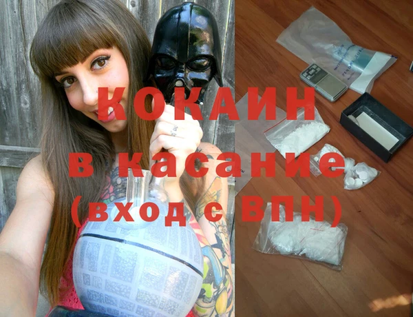 мяу мяу мука Новодвинск