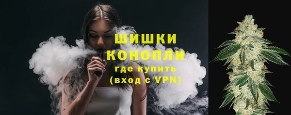 стафф Новозыбков