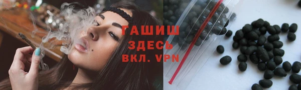 стафф Новозыбков