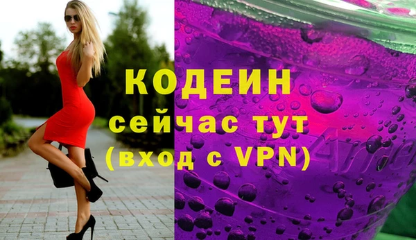 стафф Новозыбков