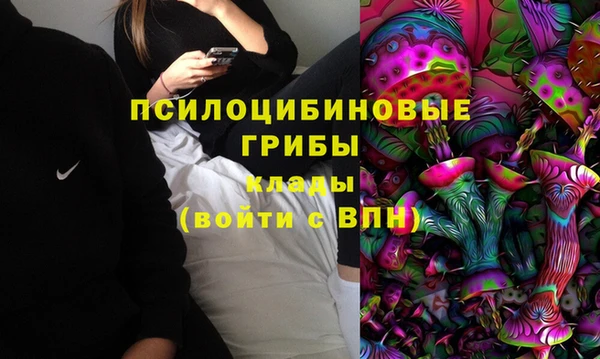 стафф Новозыбков