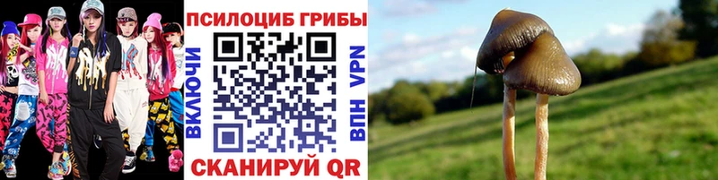 blacksprut зеркало  Ладушкин  Галлюциногенные грибы GOLDEN TEACHER 