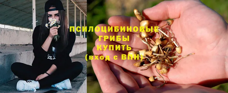 Псилоцибиновые грибы Magic Shrooms  Ладушкин 