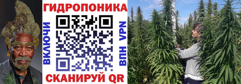 Каннабис AK-47 Ладушкин